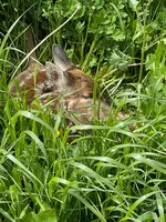 IMG_0977.webp