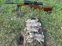 IMG_8063.webp IMG_8063.webp