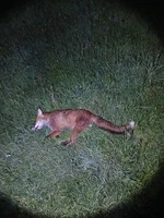 20260508_213315.webp
