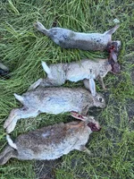 IMG_4577.webp IMG_4577.webp
