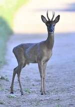 _DSC6327.webp