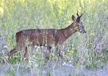 _DSC6400.webp