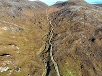Ham Track - Peter Williamson .webp