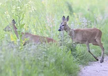 _DSC6769.webp
