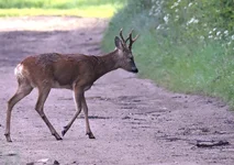 _DSC7088_01.webp
