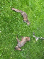 IMG_4934.webp IMG_4934.webp