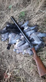 IMG-20210918-WA0001.webp