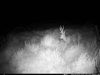 IM_00059.webp