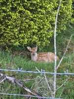 IMG-20260520-WA0006.webp