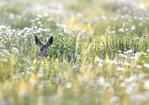 _DSC7916_06.webp