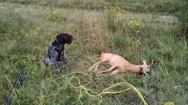 IMG-20250804-WA0000.webp