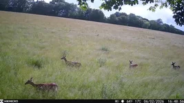 20260602164917[1].webp