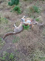 20260603_211701.webp 20260603_211701.webp