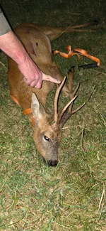 20260609_225915.webp