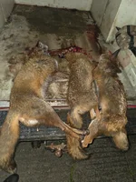 20260613_012808.webp