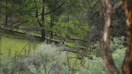 somewhere Screenshot 2026-06-22 084025.webp