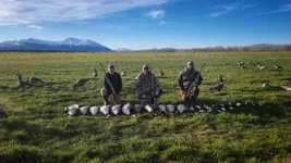 IMG-20240812-WA0028.webp