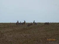 P1040420.webp