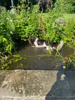 IMG_1640.webp IMG_1640.webp