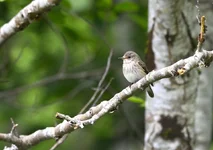 _DSC0395.webp