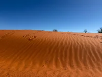 IMG-20260705-WA0039.webp