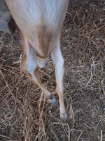 20260706_214157[1].webp