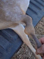 20260706_213919[1].webp