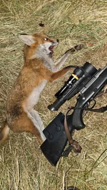 20260708_000221.webp