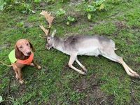 IMG_1951.webp IMG_1951.webp