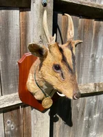 IMG_8550.webp