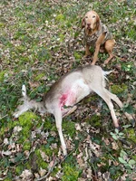 IMG_0874.webp IMG_0874.webp