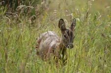 DSC03284.webp