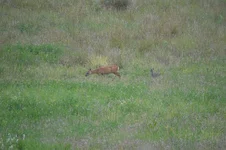 DSC03242.webp