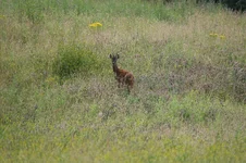 DSC03327.webp