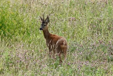 DSC03324.webp