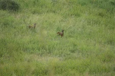 DSC03306.webp