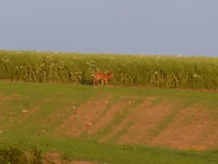 P1040454.webp