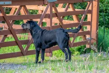 DSC_1692-2K.webp