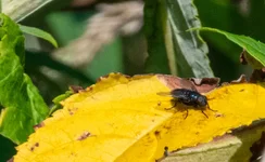 DSC_1702-V1.webp