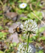 DSC_1703-2K.webp