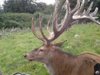 20140824_141644 (1).webp