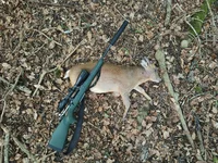 IMG_20260718_110008.webp