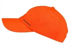 orange.webp orange.webp