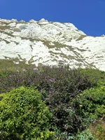 1000038133.webp