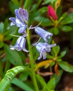 DSC_0012-V1.webp