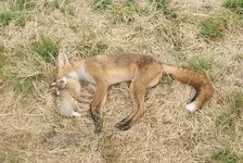 20260718_080008[1].webp
