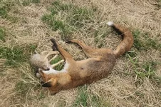 20260718_080124[1].webp