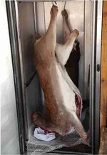 Fallow in Fridge.webp