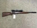 cz 455 Varnint.webp