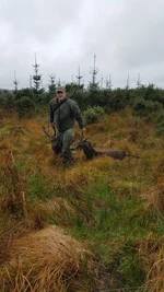 stalking directory.webp